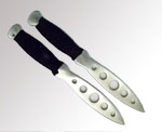 Training Dagger